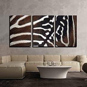 Maneless Zebra (Equus Quagga Borensis) Skin Texture Wildlife...