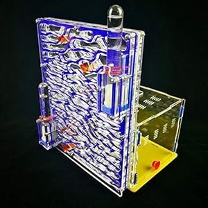 8bayfa Big T-Shape Formicaio Educactional Dispositivo Giocattolo Twin Towers Assemblaggio Facile da installare con… 8bayfa 8bayfa Big T-Shape Formicaio Educactional Dispositivo Giocattolo Twin Towers Assemblaggio Facile da installare con…