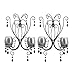 VERDUGO GIFT Midnight Elegance Wall Sconces