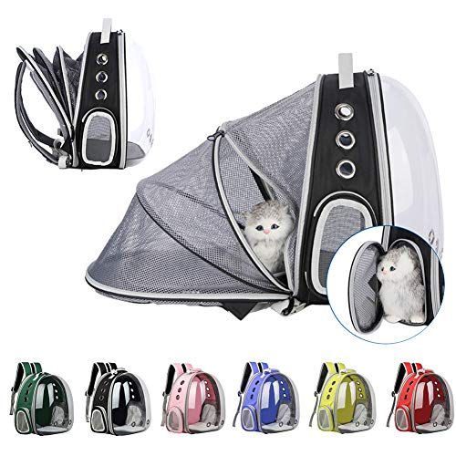 Expandable Bubble Cat Carrier Backpack, Portable Travel ...