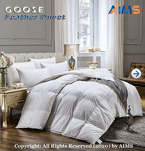 View 7