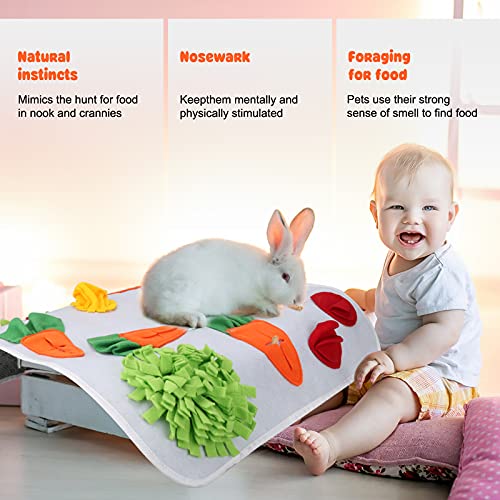GINDOOR 24" x 24" Rabbit Foraging Mat, Interactive Feed Game for