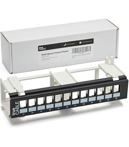 Amazon.com: Tripp Lite 24-Port Cat5e Patch Panel, Punchdown 110