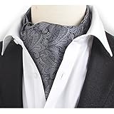 Stylefad Men's Mirofiber Cravat Ascot Self Tie