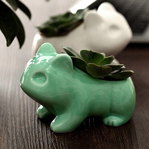 YOURNELO Pokemon Bulbasaur Flowerpot Anime Japanese Nintendo Game Cute Home Decorative Ceramic Art Pots (Green)