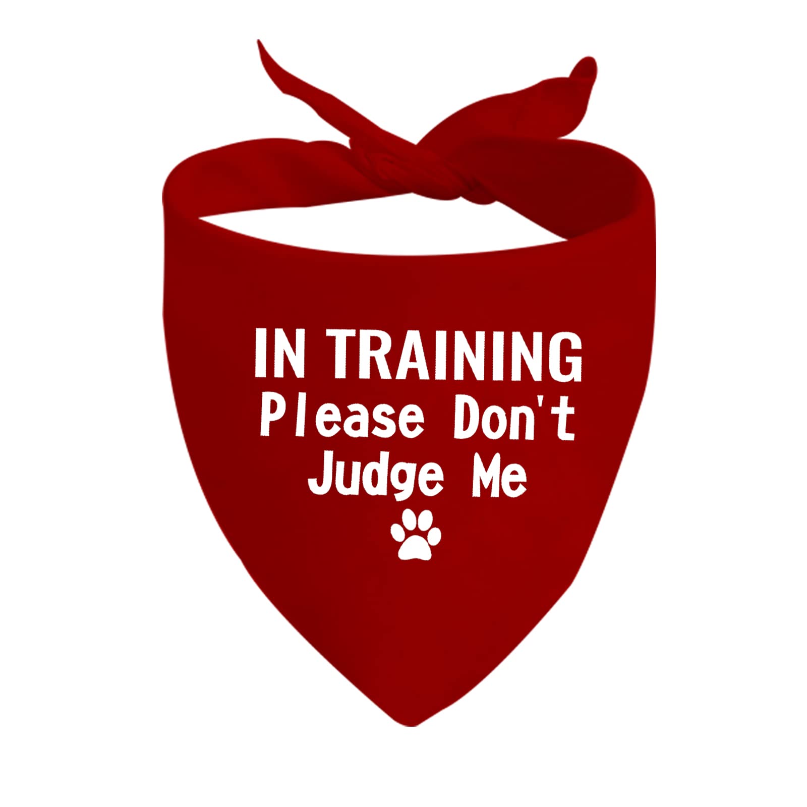In Training Dog Bandana - Ask To Pet, Give Me Space, Rescue (RED Don't Judge Me)