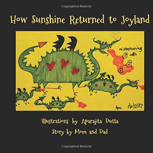 How Sunshine returned to Joyland