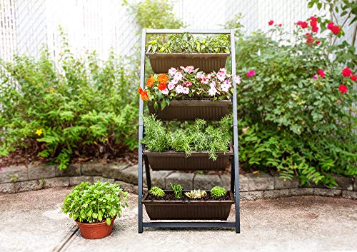 4-Ft Raised Garden Bed - Vertical Garden Freestanding Elevated Planters 4 Container Boxes - Good for Patio Balcony Indoor Outdoor - Cascading Water Drainage (2-Pack Fernie/Espresso Brown)