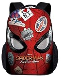 Spiderman Backpack For School Day Backpack (FAR FROM-1, ADULT and BIG BOYS)