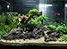 corisrx Aquarium Malaysian Driftwood Imitation Ornament Small – Tree Trunk Long Decor Fish Tank Wood (S+L Set)thumb 2