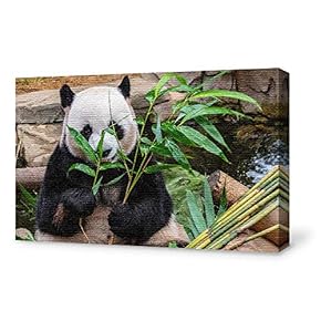 Canvas Wall Art for Living Room,Bedroom Home Artwork Paintings Cute Panda Ready to Hang - 12x18 inches