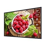 Projector Screen Fixed Frame Projection Screen 100