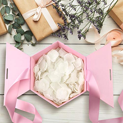 DomeStar Artificial Flower Petals 2000PCS Fake Rose Petals Fabric Petals Silk White Rose Petals for Romantic Night Wedding Valentines