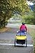 Burley Design d'Lite Child Bicycle Trailer