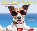 What Dogs Teach Us 2018 Calendar by 