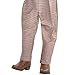 Party City Aladdin Costume for Children, Size Small, Includes a Shirt, Pants, a Hat, a Belt, and an Attached Vest