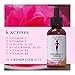 Vitamin C E Ferulic With Hyaluronic Acid Serum POTENT Facial Anti Aging & Brightening | Acne Scar Treatment & Dark Spot Remover 17% L-Ascorbic Acid