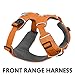 Ruffwear, Front Range Dog Harness, Reflective Soft Padded Everyday Harness with Dual Leash Clips, Adjustable and Lightweight Fit for Training or Walking for All Dogs, Orange Poppy, Small