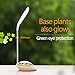 CHARHODEN Desk Lamp LED Office Desk Lamp,Reading Lamp for Kids Computer Desk Lamp,Working Night Lamp with Usb Charging Port