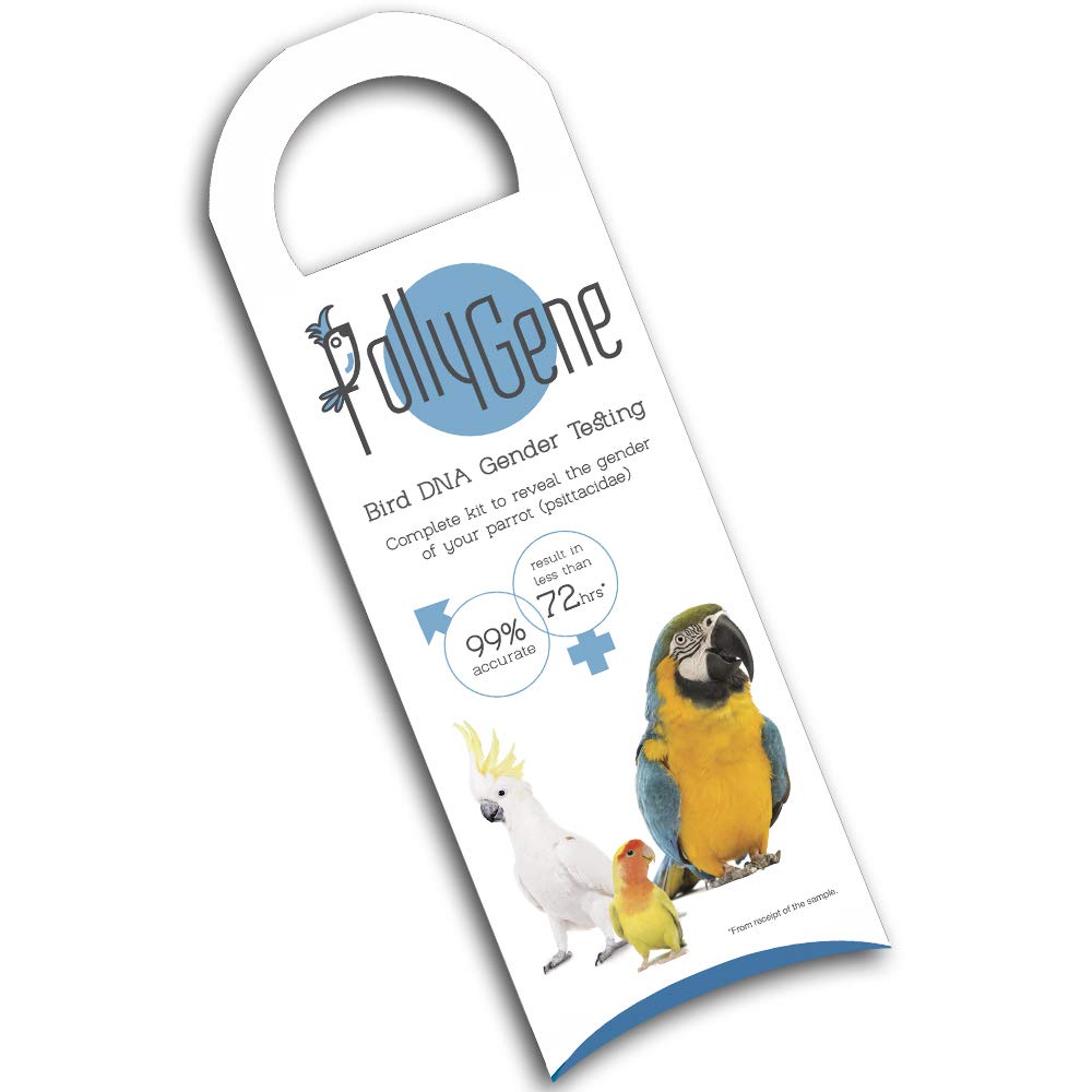 Pollygene 1 Bird DNA Gender Testing Kit for Parrots, Lovebirds, Cockatoos, Macaw, Grey African, Cockatiels, Conure and more than 300 Psittacines. Collection Kit & Certificate Included.