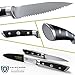 Dalstrong Serrated Paring Knife - 3.75 inch - Gladiator Series Elite - Forged German High-Carbon Steel - Black G10 Handle - Kitchen Knife - w/Sheath - NSF Certified