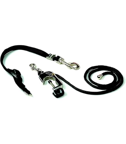 Dog Grooing Kit, Professional Low Noise Cordless Dog Clippers