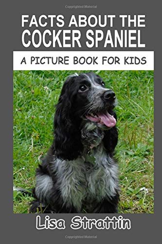 facts about cocker spaniels