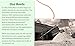 Feline Pine Original 100% Natural Cat Litter, 20Lb
