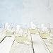 Cathy's Concepts SEA-1110 Seashell Stemless Wine Glasses – 4 Unique Designs, Holds Up to 21 oz., 4-Glass Set