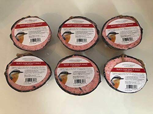 Suet Filled Half Coconuts for Wild Birds - Berry Flavour (Pack of 6)