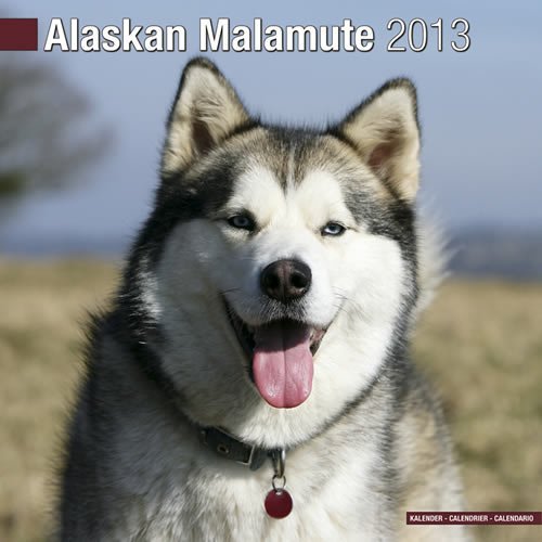 Alaskan Malamute 2013 Wall Calendar #10004-13 by Pet Prints (2012-06-30) by 