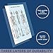 24” x 36” Large Double Sided Muscular and Skeletal System Anatomical Wall Poster/Laminated Human Body Poster/Anatomy Poster/Medical Poster/Human Muscle Skeleton Reference Chart by JJ CARE