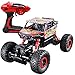 JOYIN RC Remote Control Car Off-Road Rock Crawler Power Wheel Monster Racing Truck