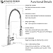 Enzo Rodi ERF7209251CP-10 Modern Commercial Kitchen Faucet With Pull-Down Sprayer,Polished Chrome