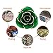 24K Green Rose for Her, Eternal Love Real Gold Plated Rose Flower, Best Present for Wife/Mom/Girlfriend Anniversary, Wedding, Birthday, Graduation (Green)