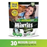 VetIQ Minties Dog Dental Bone Treats, Dental Chews for Dogs, (Perfect for Medium / Large Dogs over 40 lbs)