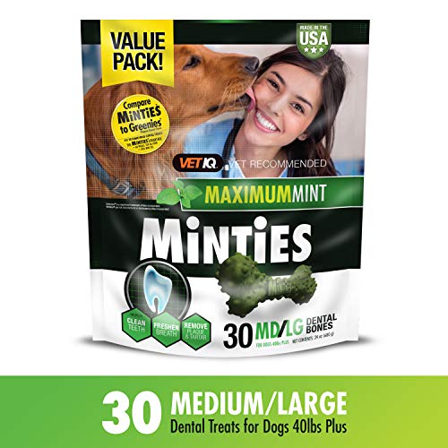 VetIQ Minties Dog Dental Bone Treats, Dental Chews for Dogs, (Perfect for Medium / Large Dogs over 40 lbs)