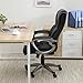 YAMASORO Leather Office Chair High Back Computer Gaming Desk Chair Executive Ergonomic Lumbar Support Black