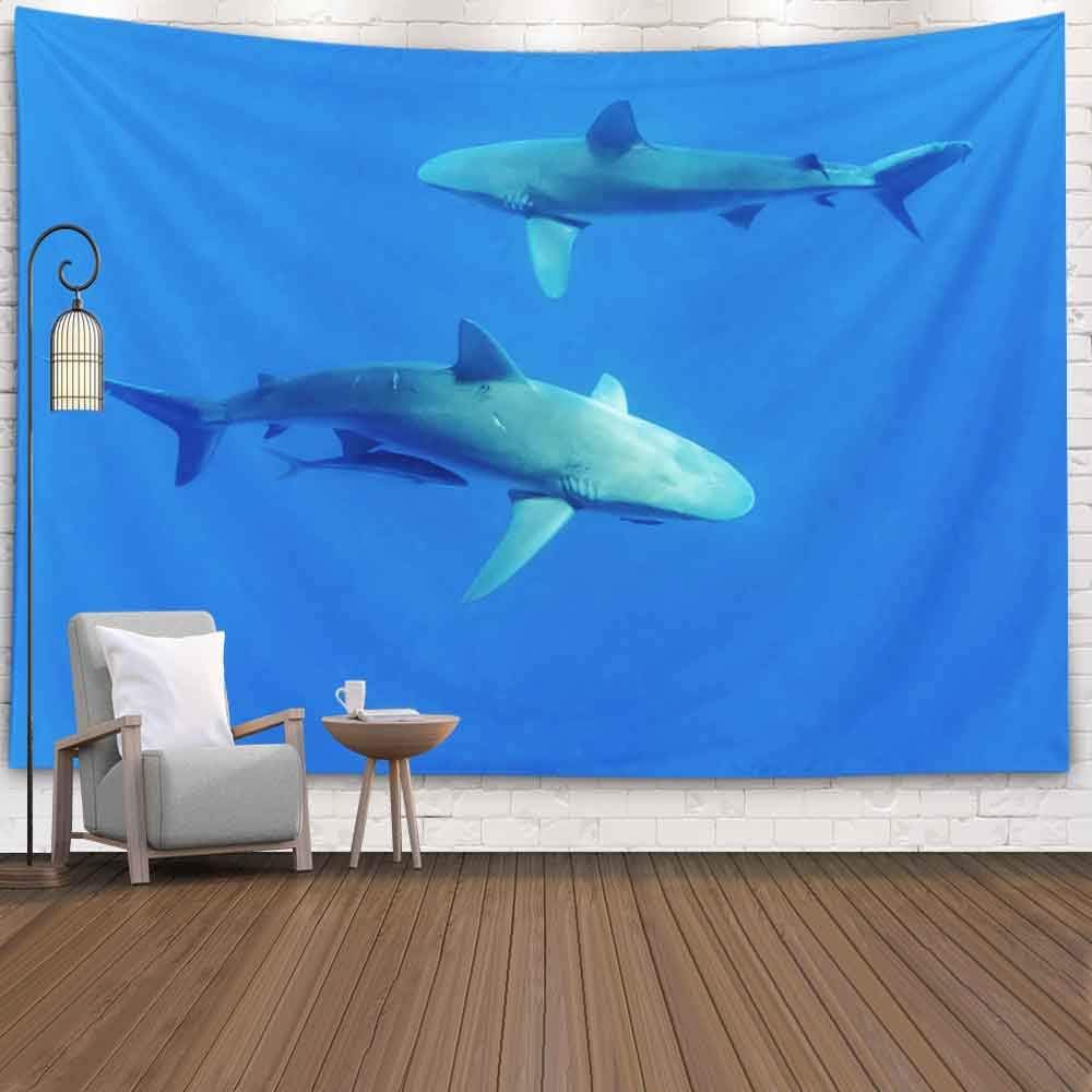 Capsceoll Halloween Christmas Thanksgiving Day Fall Wall Tapestry, 80X60 Inches Sharks,Oahu Hawaii Wall Hanging Tapestry for Décor Dorm Tapestry Living Home