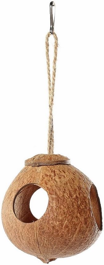 The 10 Best Coconut Hide Ladder