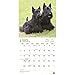 Scottish Terriers 2017 Wall Calendar