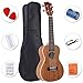 ADM Concert Ukulele Beginner Kit Mahogany Hawaiian Wood 23 Inch Ukelele Bundle Ukalalee Set with Uke Free Starter Lessons for kids Students and Adults, Brown