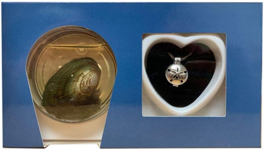 Love Pearl Sand Dollar Online Shop, UP 