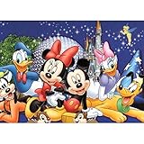 DIY 5D Diamond Painting by Numbers Kits for Adults,16
