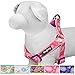 Blueberry Pet 5 Colors Soft & Comfy Step-in Paisley Flower Print Dog Harness, Chest Girth 20