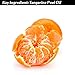 Vi-Tae Organic Vitamin C Soap, 4 oz.