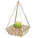 HOMEIDEAS Modern Terrarium Clear Glass Pyramid Tabletop Geometric Polyhedron Box,Decorative Succulent Plants Holder(Golden)