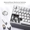 RK-ROYAL-KLUDGE-Sink87G-RGB-80-Mechanical-Keyboard-Wireless-24G-Tenkeyless-Mechanical-Keyboard-with-Macro-Setting-87-Keys-Tactile-Brown-Switches-White RK ROYAL KLUDGE Sink87G RGB 80% Mechanical Keyboard, Wireless 2.4G Tenkeyless Mechanical Keyboard with Macro Setting, 87…