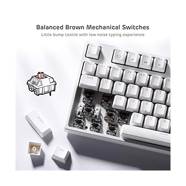 RK-ROYAL-KLUDGE-Sink87G-RGB-80-Mechanical-Keyboard-Wireless-24G-Tenkeyless-Mechanical-Keyboard-with-Macro-Setting-87-Keys-Tactile-Brown-Switches-White RK ROYAL KLUDGE Sink87G RGB 80% Mechanical Keyboard, Wireless 2.4G Tenkeyless Mechanical Keyboard with Macro Setting, 87…