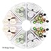 MoMA Lazy Susan Organizer - 10.2”x9.4”x4” Plastic Organizing Storage Bins (4 Packs) - Transparent Kitchen Cabinet Storage Organizer - BPA Free Condiment Organizer - Durable 1/8 Wedge Can Organizer